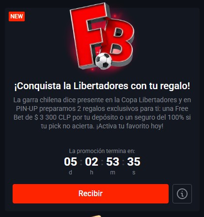 ¡Conquista La Libertadores Con Tu Regalo!